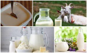 Recepten om thuis zure room van geitenmelk te maken