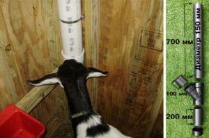 Ožkų tiektuvų tipai ir kaip tai padaryti patys, instrukcijos ir brėžiniai