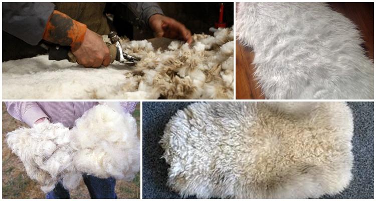 que esta hecho de lana de oveja