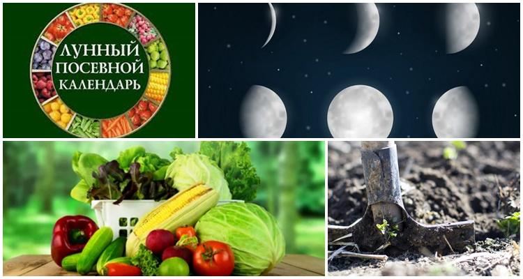 lunar sowing calendar for 2021