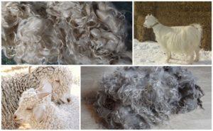 Ožkų plaukų privalumai ir trūkumai, jų klasifikacija ir taikymo sritis
