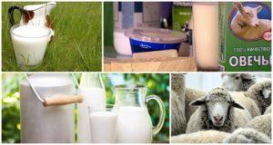 Η σύνθεση και η περιεκτικότητα σε θερμίδες του πρόβειου γάλακτος, τα οφέλη και οι βλάβες του στον οργανισμό