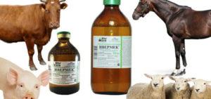 Упутство за употребу Ивермека за животиње и дозирање за говеда, аналози