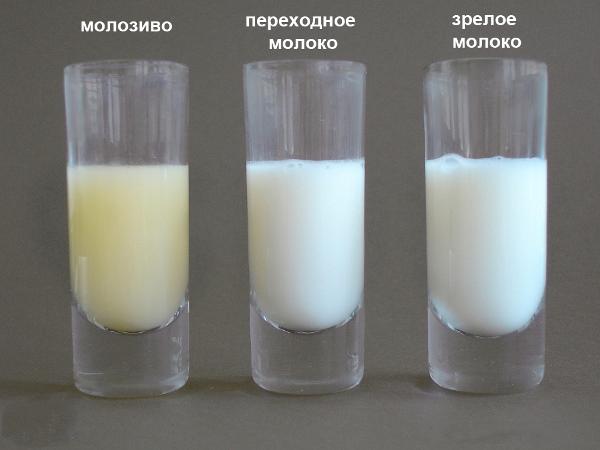 olika mjölk