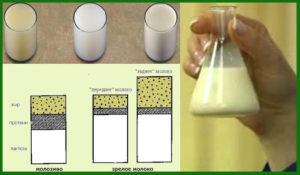 Jaké jsou způsoby stanovení obsahu tuku v kravském mléce doma?