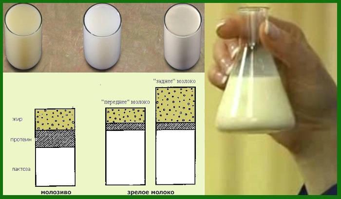 La formule chimique du lait et le tableau des substances dans la composition par 100 grammes, température