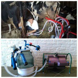 Jak správně dojit krávu dojícím strojem doma