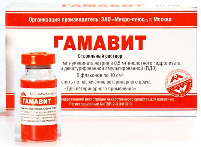 Gamavit droga