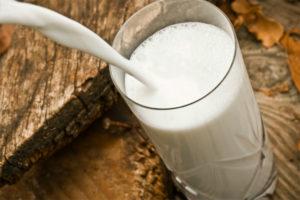 Kodėl pienas kvepia karve, ką daryti ir kaip pašalinti trafaretą