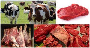 Tabla de rendimiento de la carne de res neta promedio basada en el peso vivo